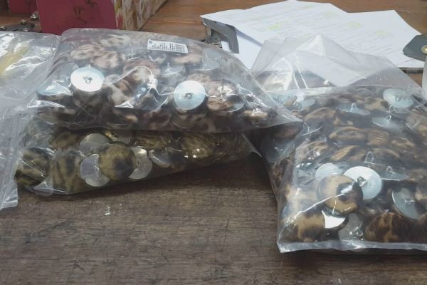 Imagem da noticia Polícia acha cocaína escondida em botões de costura e prende duas pessoas