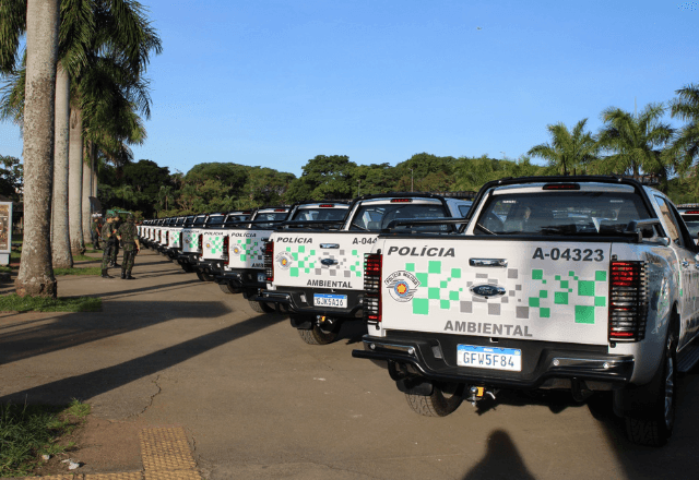 Imagem da noticia Homem é preso após atear fogo em mata na beira de estrada no interior de São Paulo
