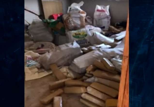 Polícia apreende 1 tonelada de maconha em obra abandonada de SP