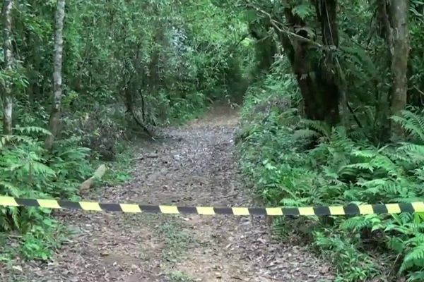 Imagem da noticia Polícia faz buscas perto de matagal onde corpos de jovens foram encontrados