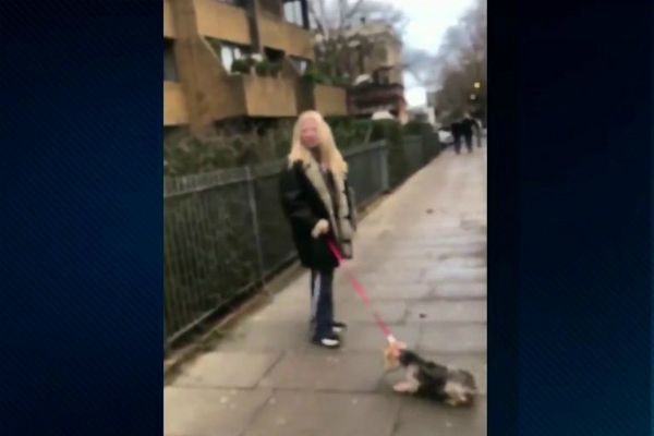 Imagem da noticia Polícia investiga caso de brasileiros agredidos por inglesa em Londres 