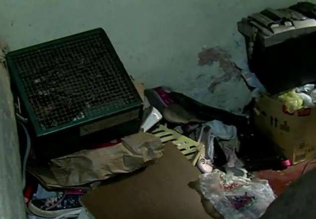 Imagem da noticia Policiais resgatam irmãos em situação de abandono no interior de SP