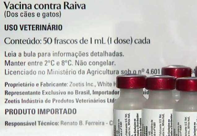 Imagem da noticia Prefeitura de São Paulo cancela campanha de vacinação contra a raiva
