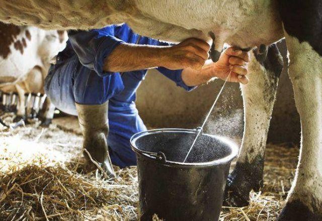 Imagem da noticia Profissão do Agro que está em extinção
