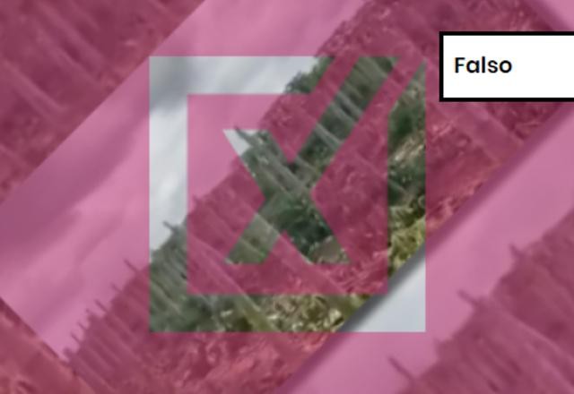 Imagem da noticia FALSO: MST não tem relação com ataque a plantação de mamão no Espírito Santo