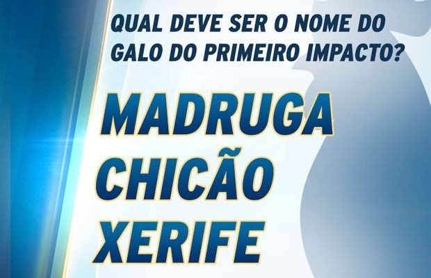 Qual deve ser o nome do galo do Primeiro Impacto? Vote e participe!