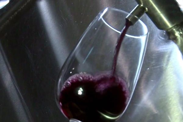 Imagem da noticia Qualidade de vinhos brasileiros ganha reconhecimento internacional