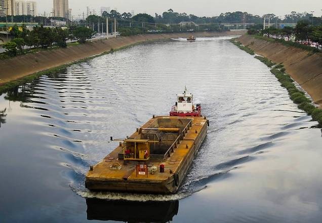Imagem da noticia Quarentena reduz poluição e Rio Tietê apresenta melhora