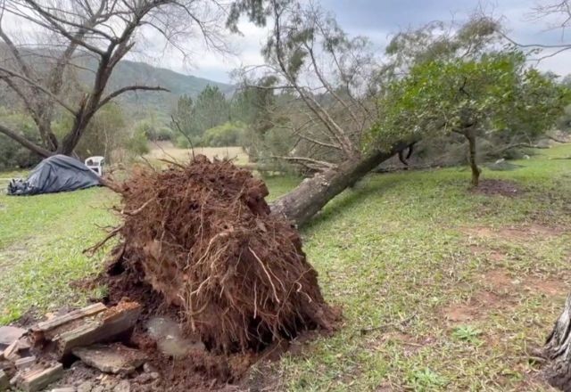 Imagem da noticia Chuva forte provoca alagamento, queda de árvore e prejuízo no RS