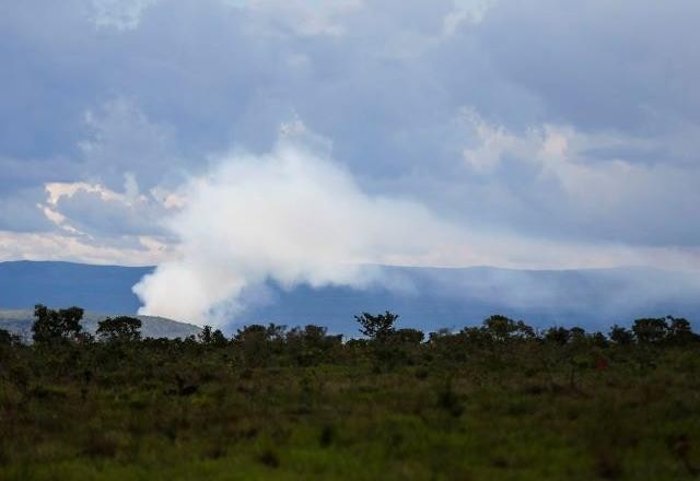 Imagem da noticia Natureza respira? Pandemia tem impacto negativo sobre o meio ambiente
