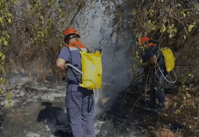 Imagem da noticia Incêndios em SP: sete cidades estão com focos ativos, diz Defesa Civil