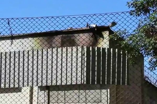 Imagem da noticia Rebelião em presídio de cidade gaúcha termina com quatro mortos