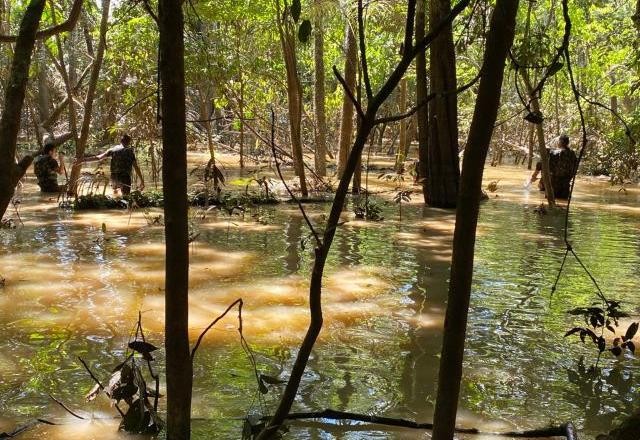 Veja o que diz relatório da PF sobre crime no Amazonas