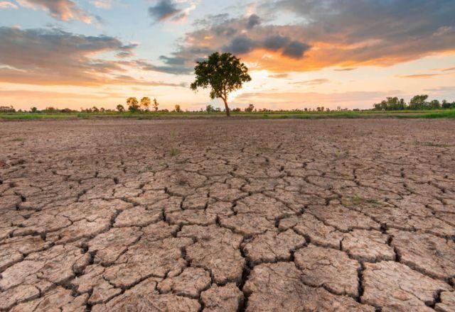 Imagem da noticia O que esperar se a temperatura média global aumentar mais de 1,5ºC?
