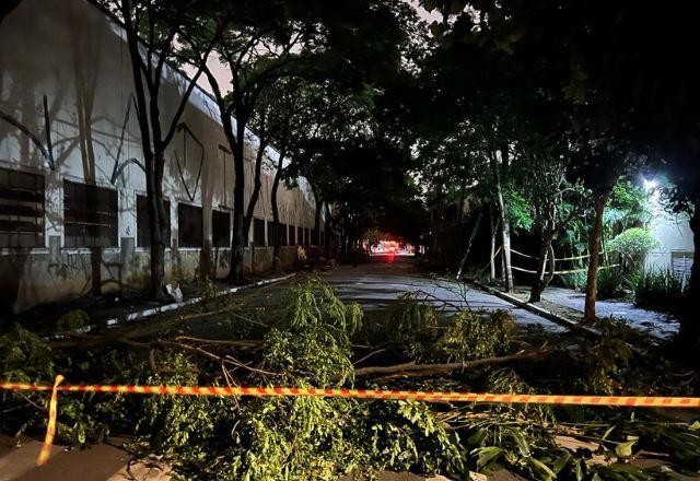 Imagem da noticia Aneel anuncia abertura de processo de fiscalização sobre apagão em SP
