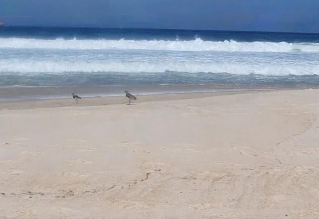 Imagem da noticia Turismo ecológico: conheça Grumari, uma praia selvagem no Rio