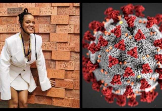 Imagem da noticia Mapa Mundi: Rihanna, a heroína de Barbados, e a ômicron pelo mundo