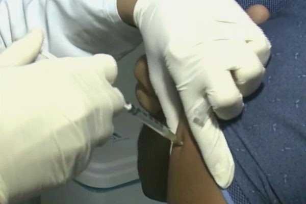 Imagem da noticia Rio de Janeiro já contabiliza 20 mortes por febre amarela