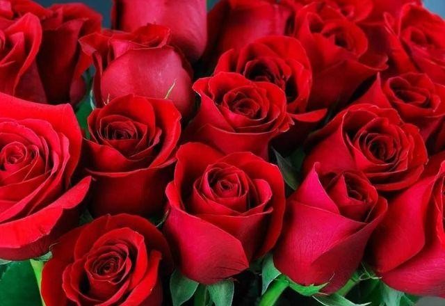 Imagem da noticia Vigilância libera 50 toneladas de rosas colombianas para Namorados