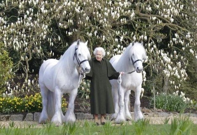 Imagem da noticia Rainha Elizabeth II completa 96 anos e divulga foto com pôneis