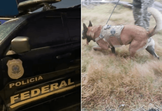 Imagem da noticia Operação da PF mira traficantes suspeitos de aliciar "mulas humanas" no Espírito Santo