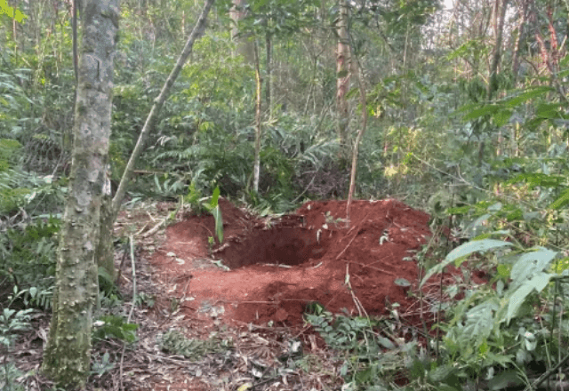 Imagem da noticia Sem saber que seria assassinada, mulher ajuda a cavar cova em Santa Catarina