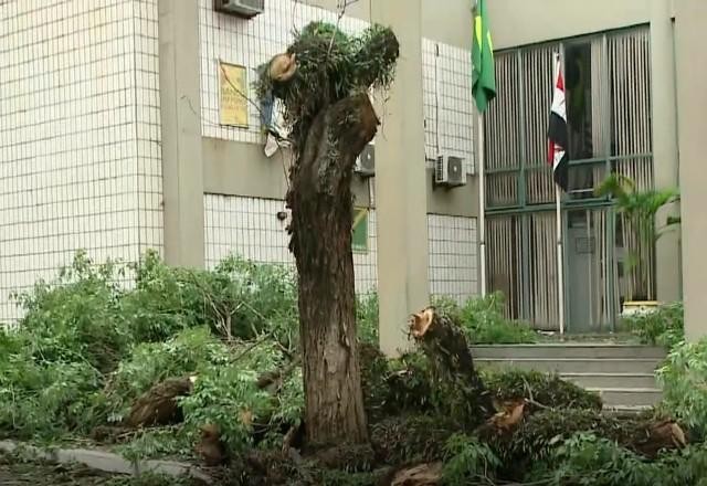 Imagem da noticia Pirassununga (SP) fica parcialmente destruída após temporal
