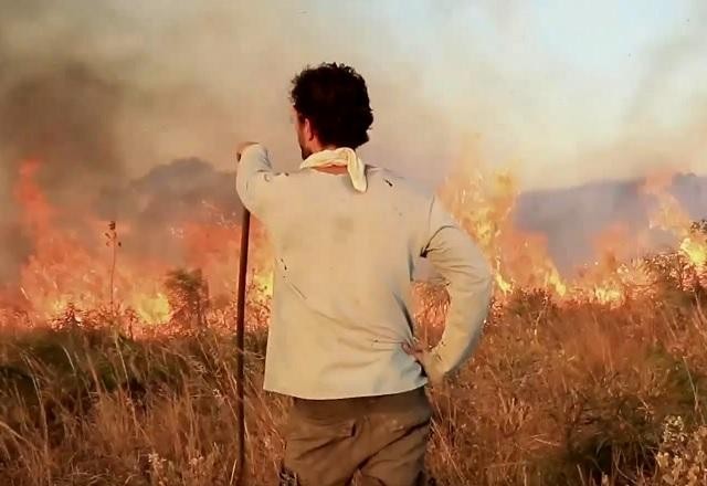 Imagem da noticia Agropecuária avança com rapidez sobre o Cerrado, mostra levantamento