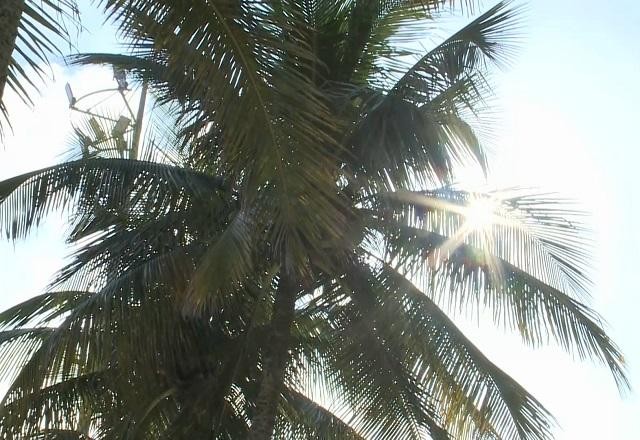 Imagem da noticia Calor e a chuva vão permanecer nas primeiras semanas do outono