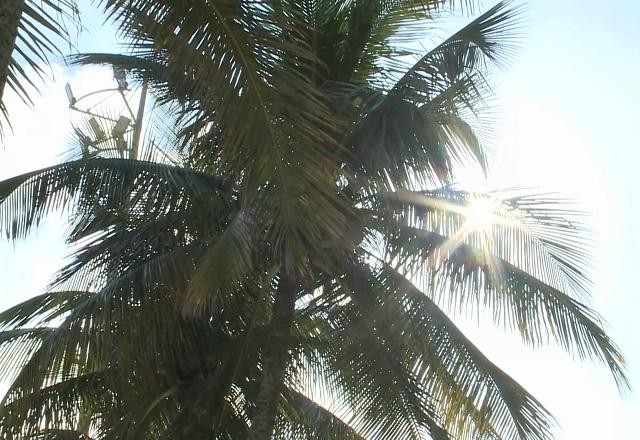 Calor e a chuva vão permanecer nas primeiras semanas do outono