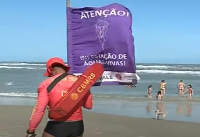 Queimaduras por águas-vivas acendem alerta no Rio Grande do Sul