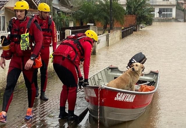 Imagem da noticia Sinal de perigo: região Sul volta a enfrentar ventania e chuva forte