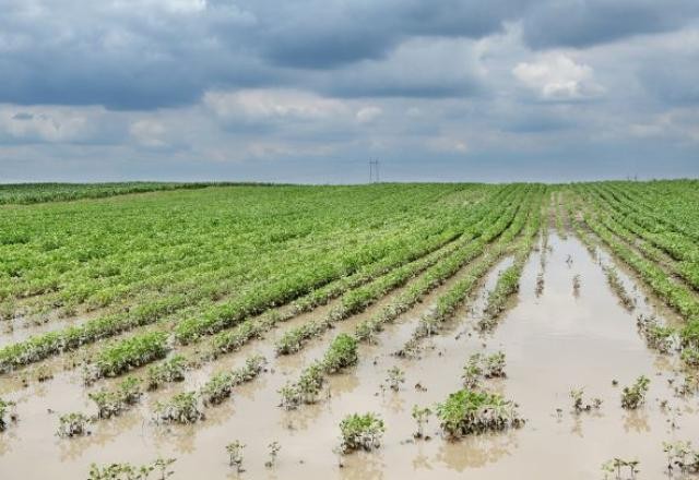 Imagem da noticia Extremos do clima geram R$ 28,2 bi em prejuízos ao agronegócio do Sul