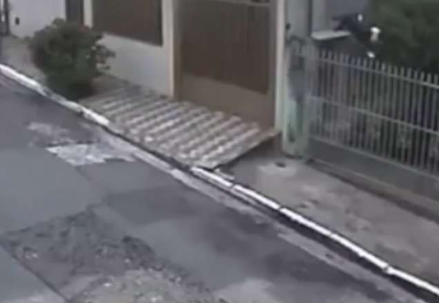 SP: Homem é levado a delegacia após arremessar cachorro por cima de portão