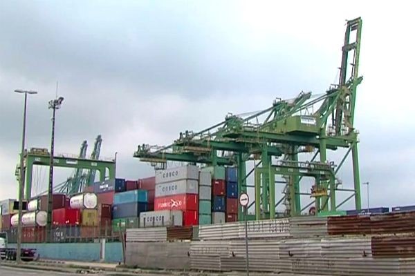 Imagem da noticia STF derruba proibição do embarque de cargas vivas no Porto de Santos