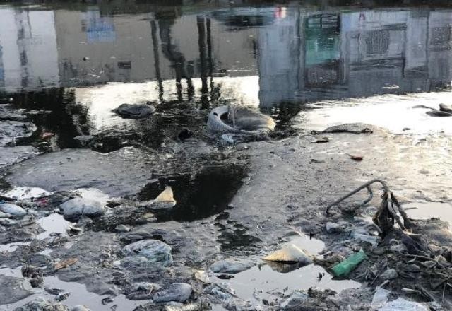 Imagem da noticia 45% dos brasileiros não têm acesso a tratamento de esgoto