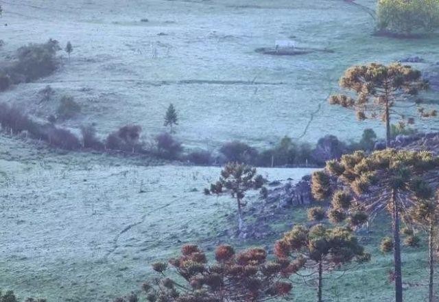 Chegada do frio: Santa Catarina registra neve e chuva congelada