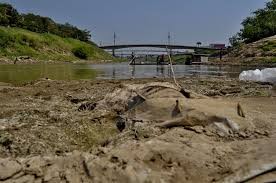 Imagem da noticia Seca extrema afeta comunidades do Acre e deixa estado em emergência