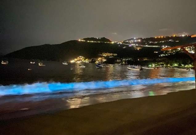 Imagem da noticia Sem poluição, ondas de Acapulco brilham pela primeira vez em 60 anos