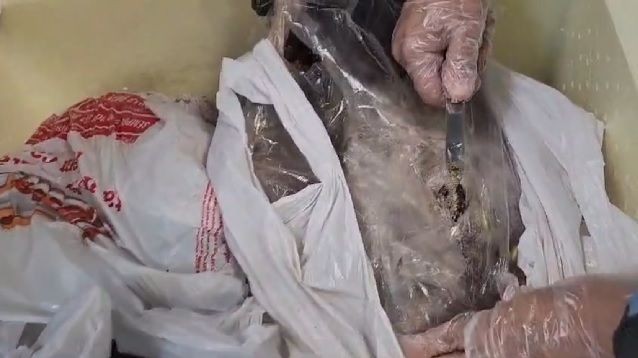 Imagem da noticia Homem é preso transportando maconha dentro de peixes em aeroporto do Rio