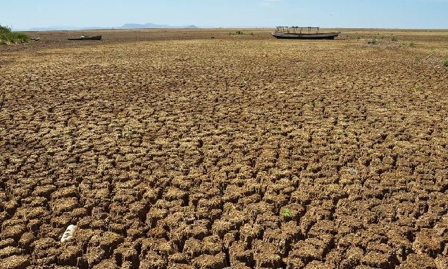 Imagem da noticia Dia Mundial do Meio Ambiente: desertificação intensifica seca no nordeste brasileiro