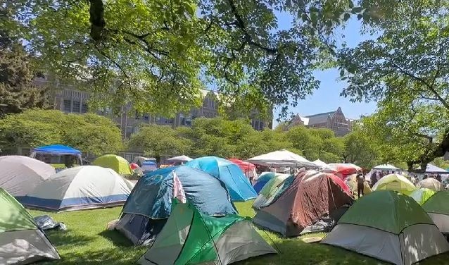 Imagem da noticia EUA: Número de presos nos protestos pró-Palestina em universidades já passa de 2.300