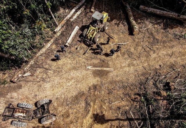 Imagem da noticia Desmatamento no Brasil tem alta pelo 4º mês consecutivo, aponta Inpe