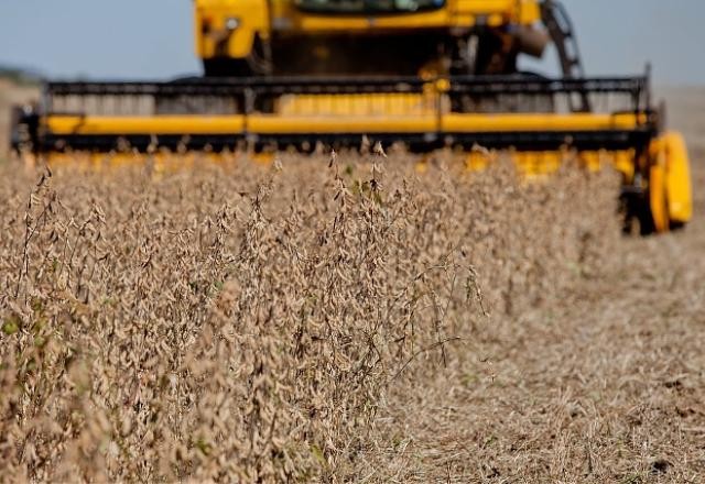 Imagem da noticia Valor da produção agropecuária do Brasil fecha ano positivo em R$ 1,1 tri