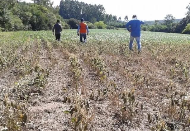 Imagem da noticia Semana começa com frente fria; mas, é fraca e não diminui estiagem no RS
