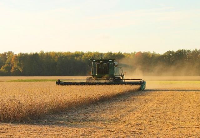 Imagem da noticia Valor bruto da produção agropecuária deve chegar a R$ 1,2 tri em 2022