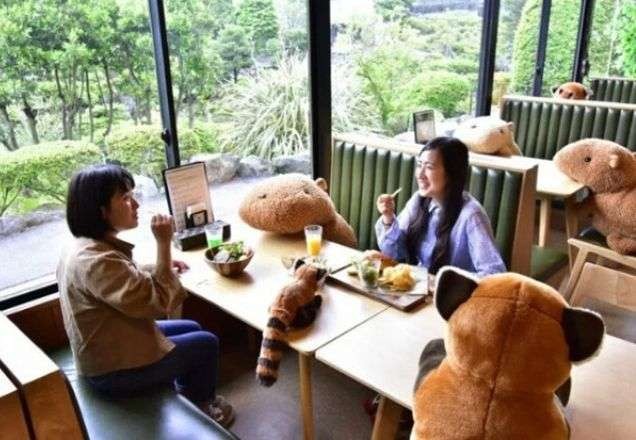 Imagem da noticia Solta o bicho: zoológico usa criatividade e estimula distanciamento