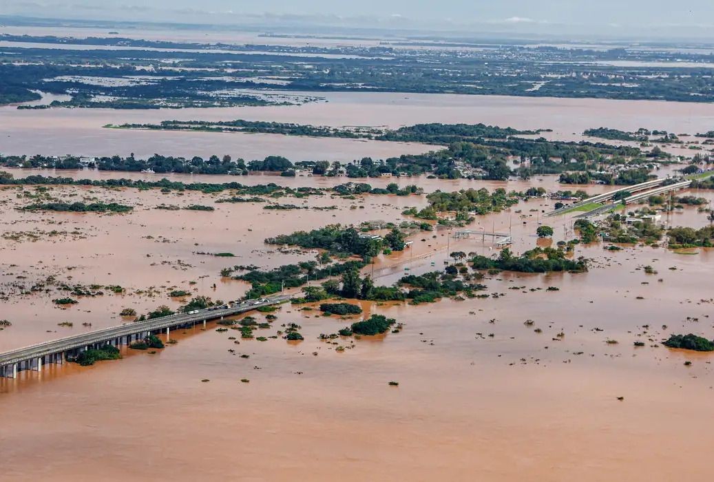 Pequenos produtores precisarão recomeçar do zero no Rio Grande do Sul