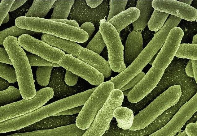 Imagem da noticia Surto bacteriano atinge milhares de pessoas na China