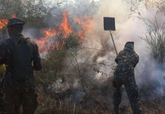 Suspeitos são flagrados destruindo floresta no Pará